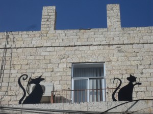 קצוות אורבנים רחוב שושן 220810 (36)