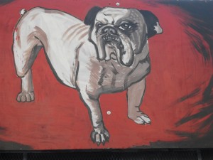 קצוות אורבנים רחוב שושן 220810 (37)