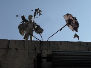 קצוות אורבנים רחוב שושן 220810 (67)